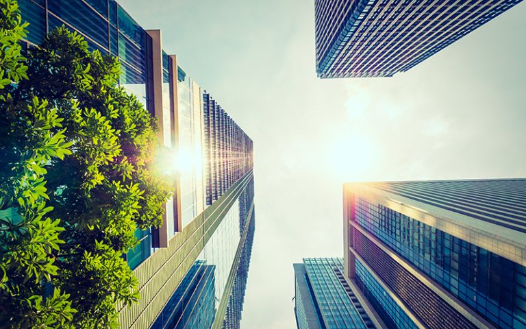 Beautiful skyscraper with architecture and building around city