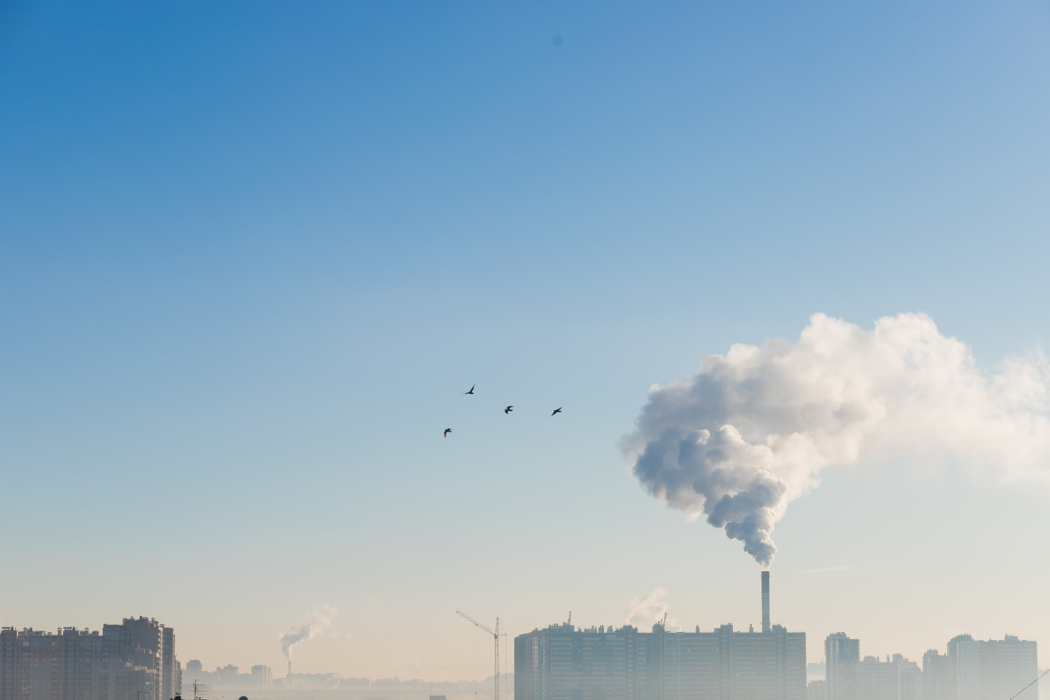 Decoding Carbon Emissions: Building a Greener Tomorrow