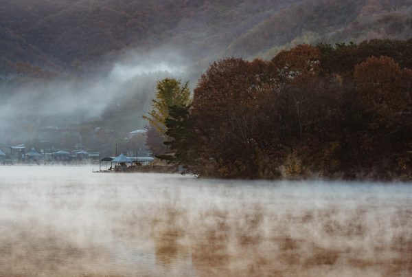 Restructuring Japan Against Flood Disasters