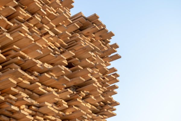 From Forest to Framework: Sustaining Wood’s Environmental Value Beyond Construction