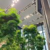 Green and Sustainable Construction: CIDB's Push for a Greener Future