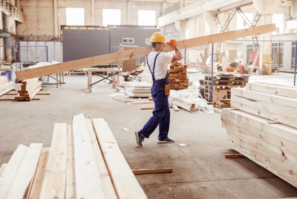 From Concept to Landmark – Timber in Action