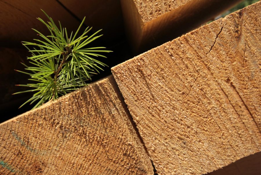 Timber and Sustainability – A Natural Partnership