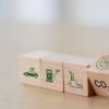 Sarawak’s Green Hydrogen Leads the Energy Transition