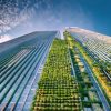 Resilient Infrastructure as a Catalyst for Sustainable Growth
