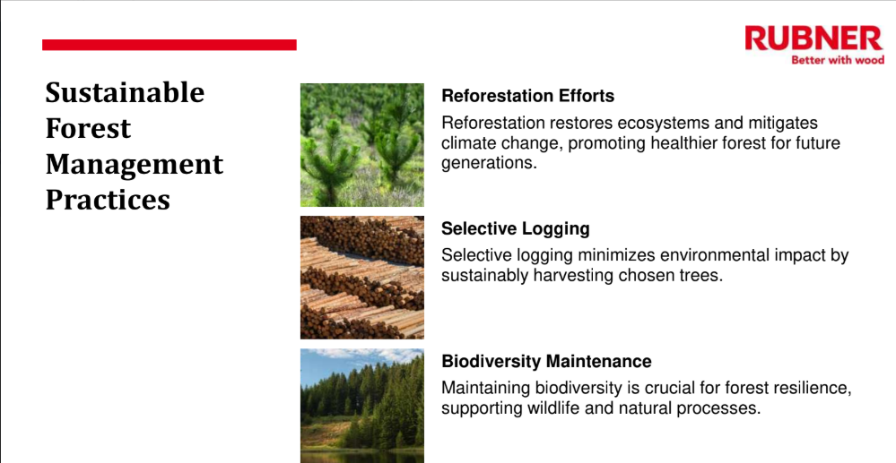 Timber and Sustainability – A Natural Partnership