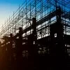From Anthills to Architecture – Lessons from Nature in Sustainable Design