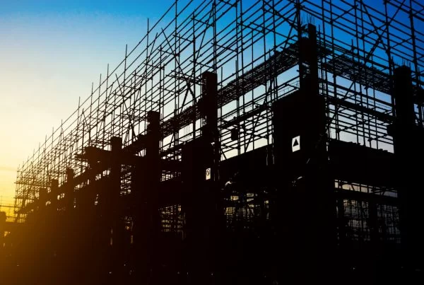 From Anthills to Architecture – Lessons from Nature in Sustainable Design