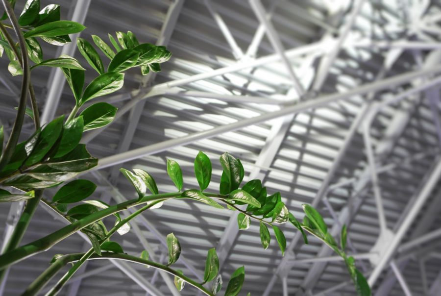 Sustainable Materials – Shaping the Future with Wood and Bamboo