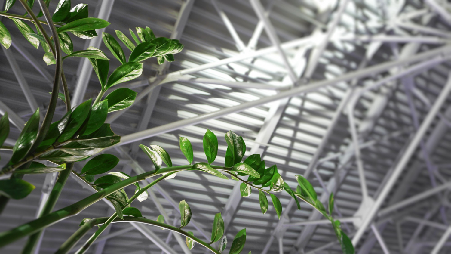 Sustainable Materials – Shaping the Future with Wood and Bamboo