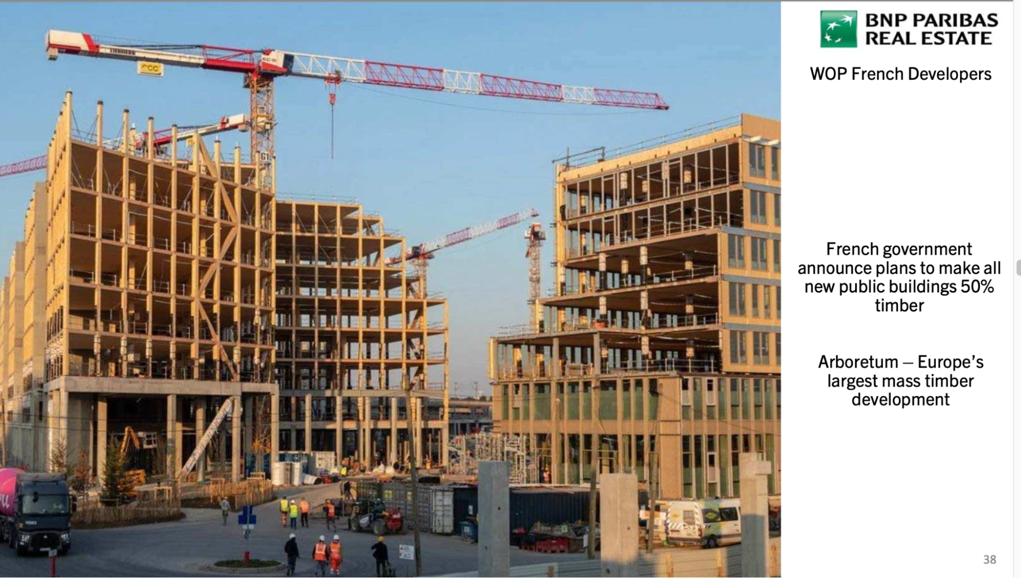 Sustainable Materials – Shaping the Future with Wood and Bamboo